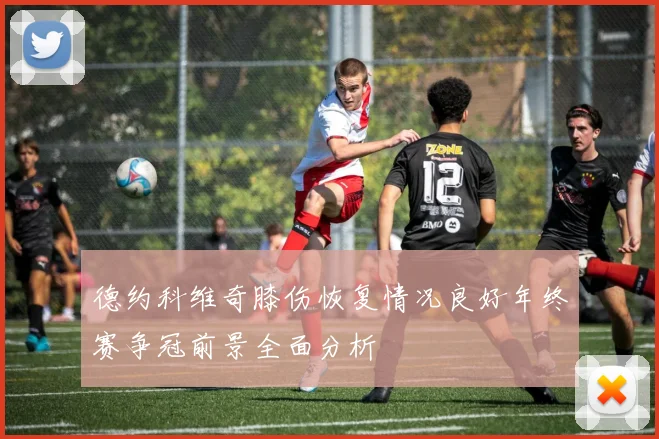 德约科维奇膝伤恢复情况良好年终赛争冠前景全面分析
