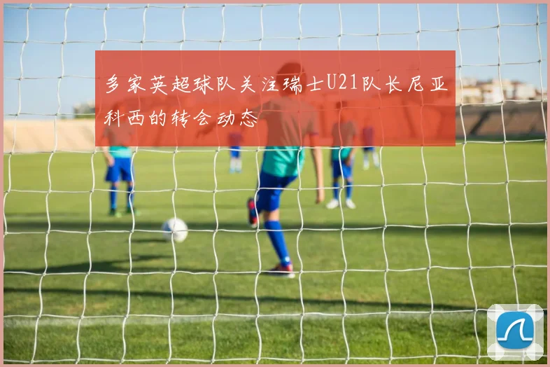 多家英超球队关注瑞士U21队长尼亚科西的转会动态